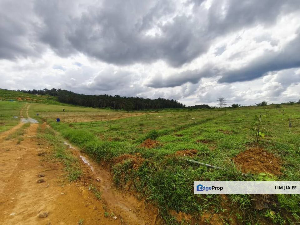 Senai / Seelong Agriculture Land For Sale, Johor, Senai