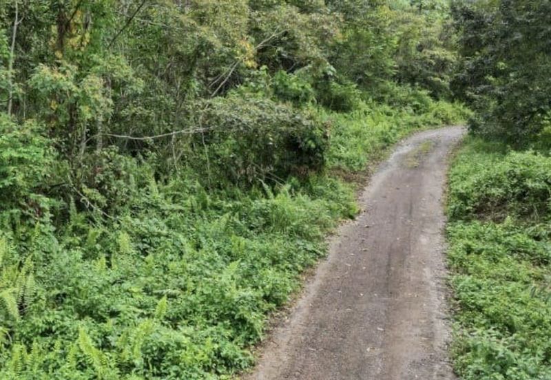 Ulu Benut Simpang Renggam Residential Land For Sale