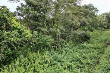 Ulu Benut Simpang Renggam Residential Land For Sale