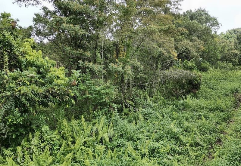 Ulu Benut Simpang Renggam Residential Land For Sale