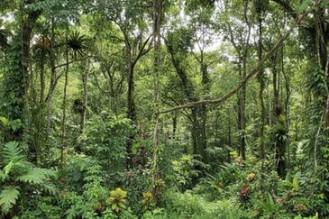 Ulu Benut Simpang Renggam Residential Land For Sale