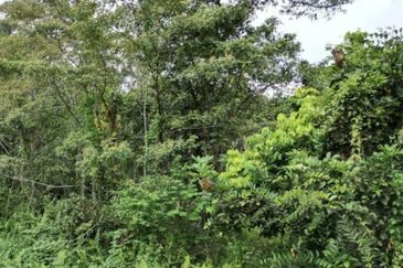 Ulu Benut Simpang Renggam Residential Land For Sale