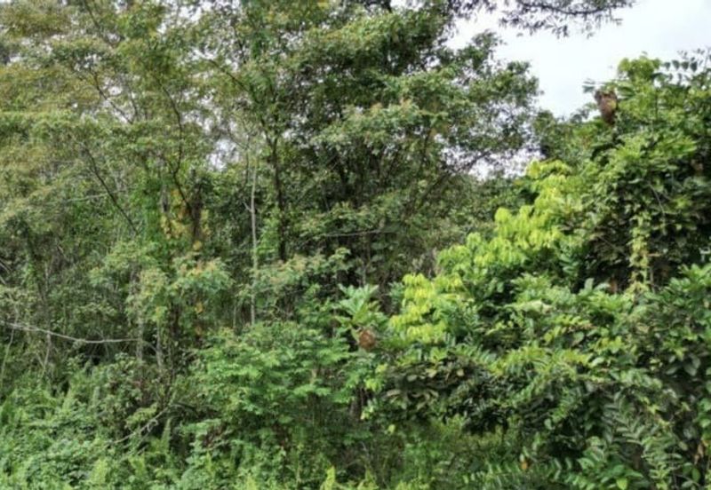 Ulu Benut Simpang Renggam Residential Land For Sale