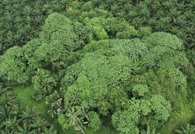 Ulu Benut Simpang Renggam Residential Land For Sale