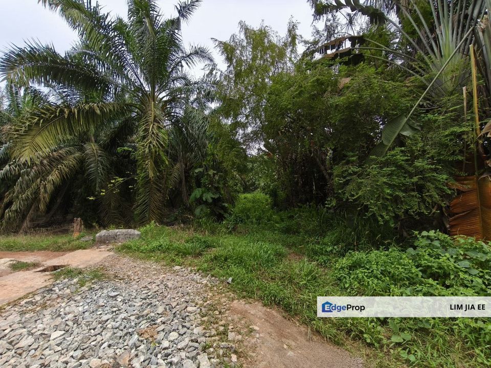 Ulu Benut Simpang Renggam Residential Land For Sale, Johor, Simpang Renggam