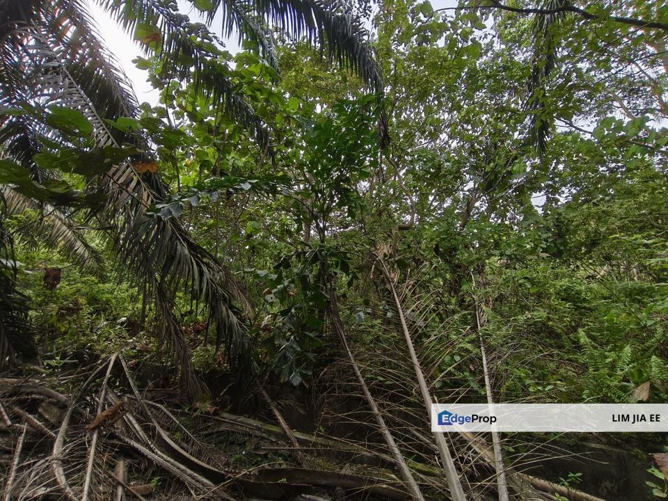 Ulu Benut Simpang Renggam Residential Land For Sale, Johor, Simpang Renggam