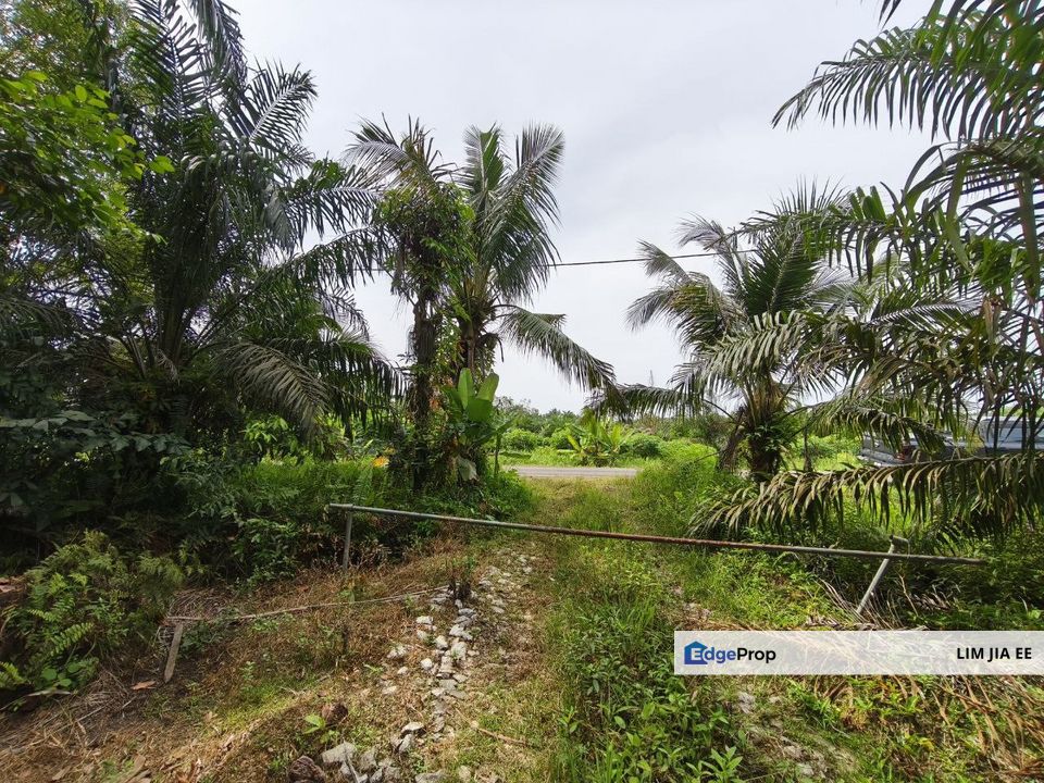 Parit Kudus @ Pontian Agriculture Land For Sale, Johor, Pontian