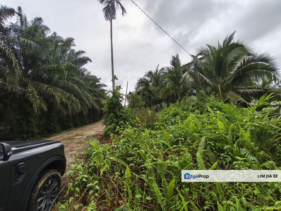 Kota Tinggi Agriculture Land For Sale, Johor, Kota Tinggi