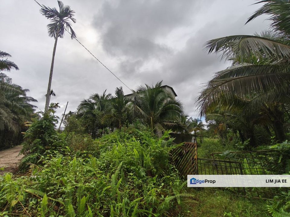 Kota Tinggi Agriculture Land For Sale, Johor, Kota Tinggi