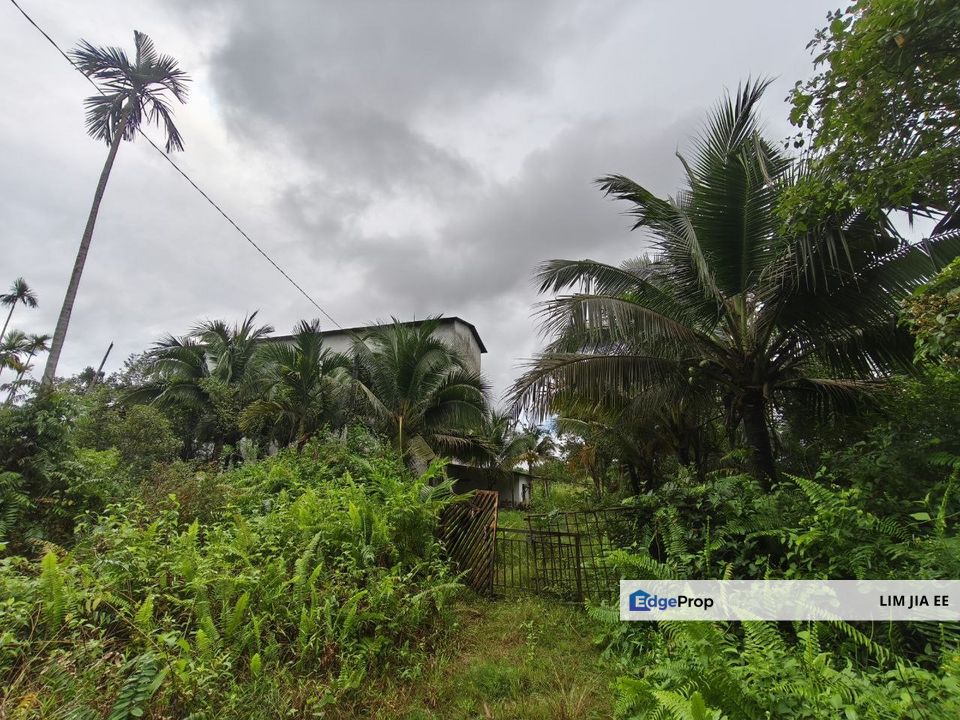 Kota Tinggi Agriculture Land For Sale, Johor, Kota Tinggi