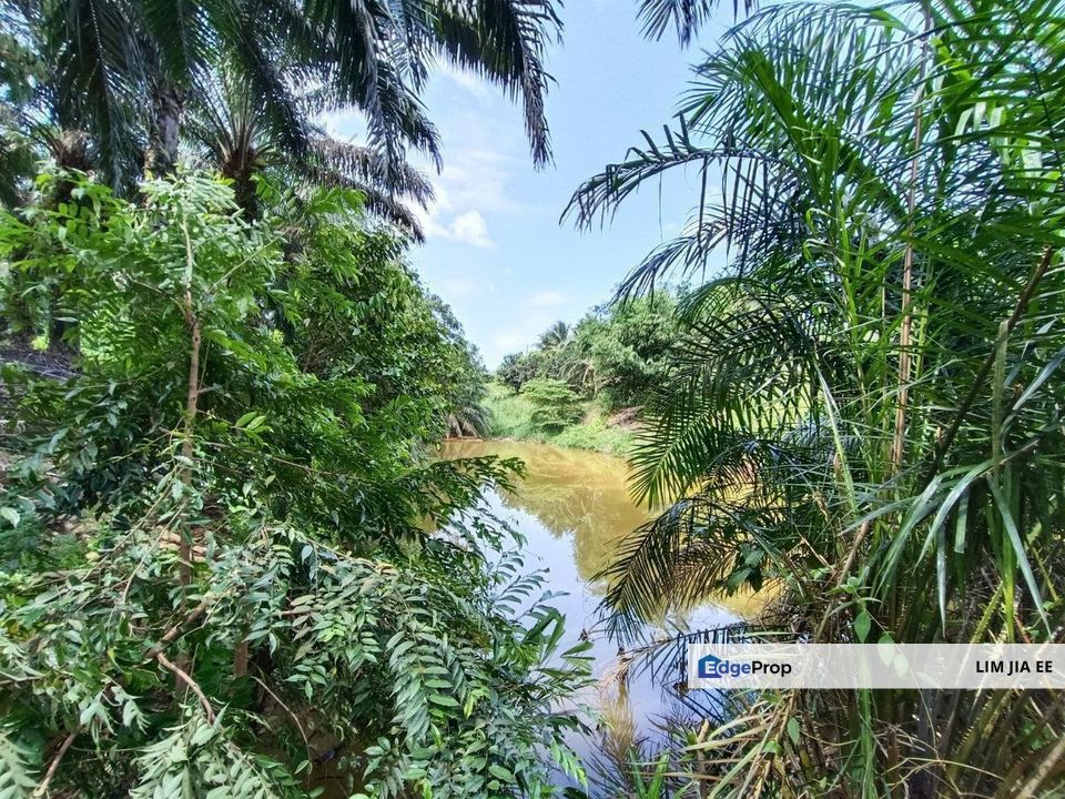 Kulai Agriculture Land For Sale, Johor, Kulai