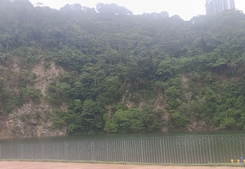 ForestHill Residences