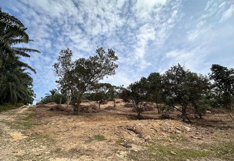 Urgent tanah Brisu BV freehold bumi alor gajah 