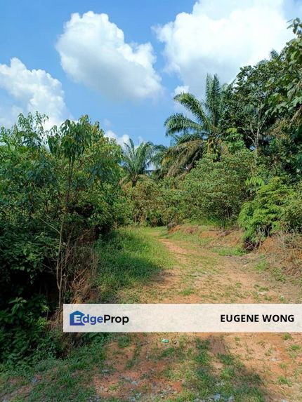 Senai Seeloong Agricultural Land (Industrial Zoning) 6.7arce For Sale, Johor, Kulai