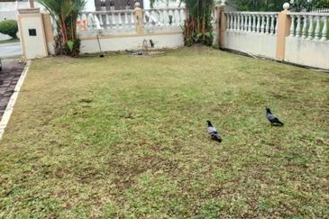 HARGA TER-MURAH, DOUBLE STOREY SEMI-D, JALAN KERUING, SHAH ALAM.