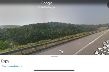 Oil Palm Plantation for sale. High revenue