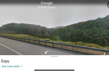 Oil Palm Plantation for sale. High revenue