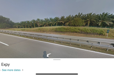 Oil Palm Plantation for sale. High revenue