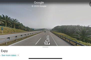 Oil Palm Plantation for sale. High revenue