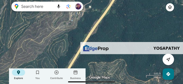 Oil Palm Plantation for sale. High revenue, Pahang, Kuantan