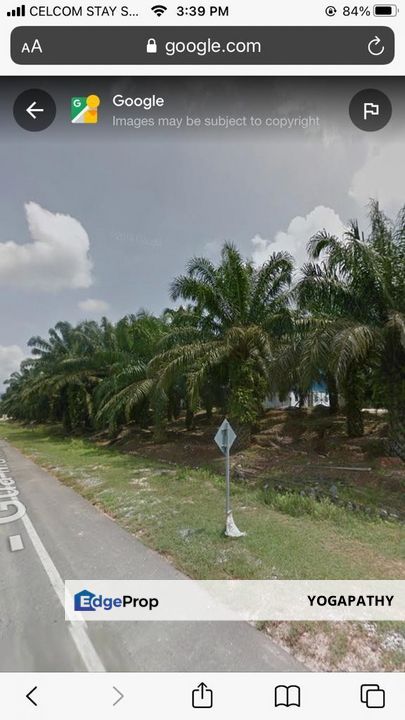 3246 acres Freehold Oil Palm estate Gua Musang, Kelantan, Gua Musang