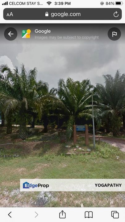 3246 acres Freehold Oil Palm estate Gua Musang, Kelantan, Gua Musang