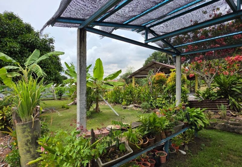 Residential Land @ Cheng For Sale