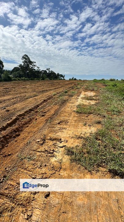 Melaka Bukit Katil Agriculture Land, Melaka, Melaka Raya