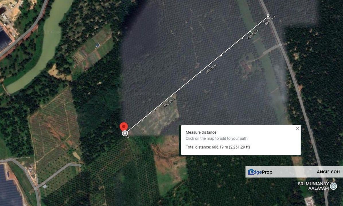 land in Kluang  palm oil landed for sale, Johor, Kluang