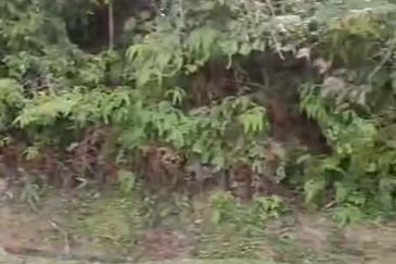 Johor Bahru Kempas Banjaran