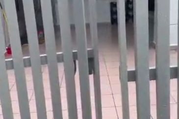 Bandar Baru Permas Jaya