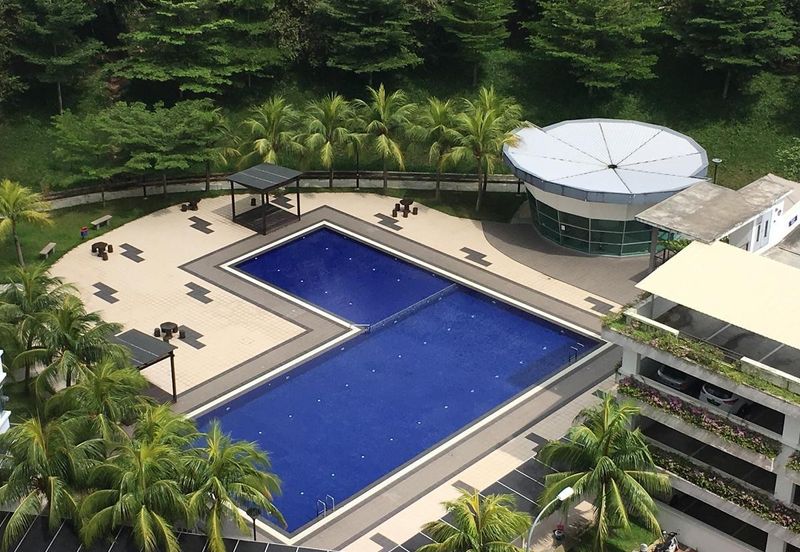 Eastbay Luxury Apartment