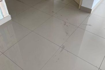 Galleria @ Taman Equine