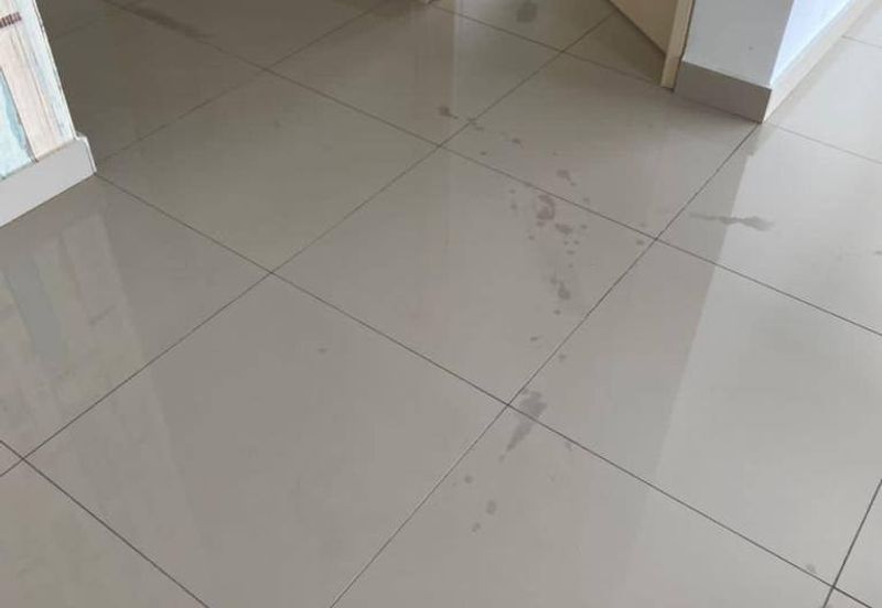 Galleria @ Taman Equine