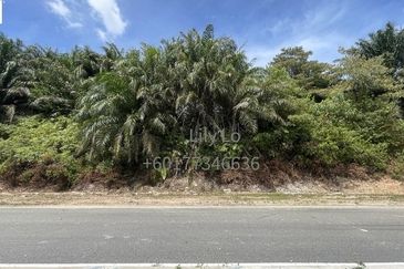 Jasin Industrial Park