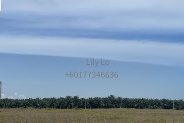 Jasin Industrial Park