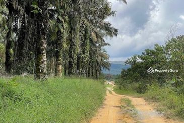 Kota Tinggi Jalan Mersing Agriculture Land