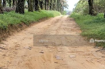 Kota Tinggi Jalan Mersing Agriculture Land
