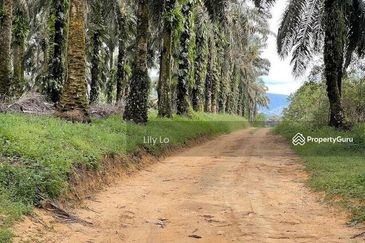 Kota Tinggi Jalan Mersing Agriculture Land