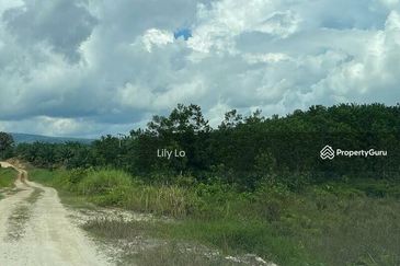 Kota Tinggi Jalan Mersing Agriculture Land