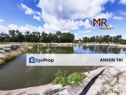 EASY ACCESS Aquaculture Farm + Swiftlet House Semeling FOR RENT, Kedah, Bedong