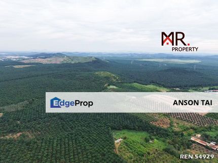 EASY ACCESS Agriculture Land Bukit Selambau FOR SALE, Kedah, Sungai Petani
