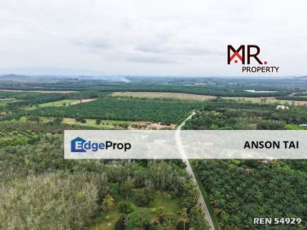 MANY ACCESS Durian Farm Bukit Selambau FOR SALE, Kedah, Sungai Petani