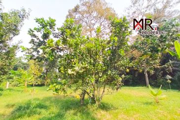 Kampung Baru Junjong