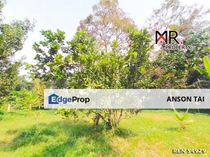 EASY ACCESS Durian Farm Junjong Kulim FOR SALE, Kedah, Kulim