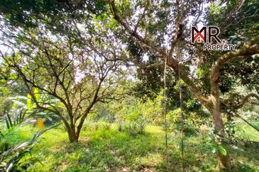 Kampung Baru Junjong