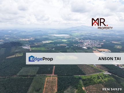 EASY ACCESS Agriculture Land Kampung Batu 3 Gurun FOR SALE, Kedah, Kuala Muda