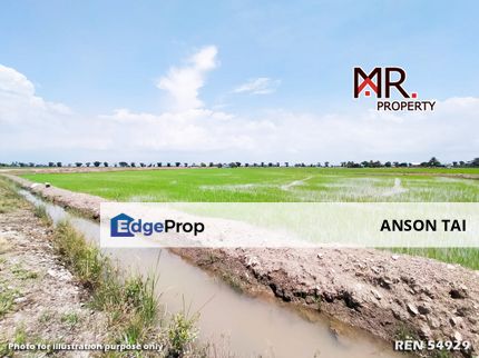 GOOD INVESTMENT Paddy Field Sungai Dua Butterworth FOR SALE, Penang, Butterworth