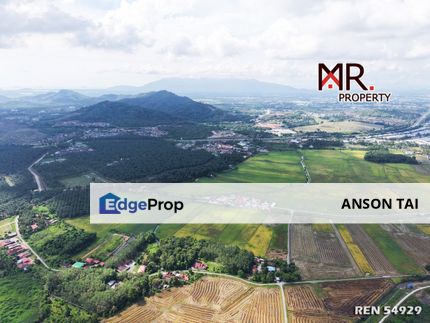 EASY ACCESS Paddy Field Pinang Tunggal FOR SALE, Kedah, Sungai Petani