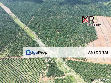 MANY ACCESS Oil Palm Agriculture Land Bedong FOR SALE, Kedah, Sungai Petani